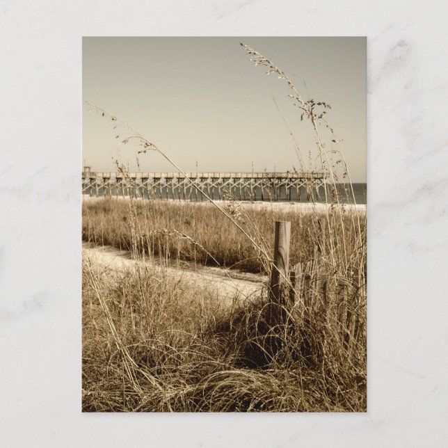 Haferflocken an den Dünen von Myrtle Beach Postkarte (Vorderseite)