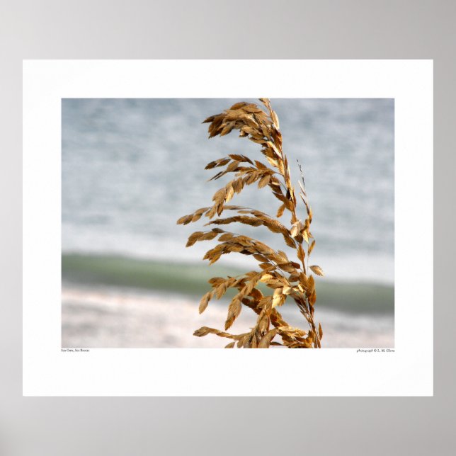 Haferflocken Poster (Vorne)