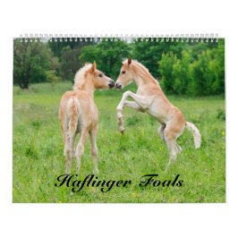 Haflinger fohlt die große Größe 2017 Kalender