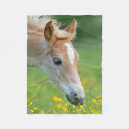 Haflinger Horse Niedlich Foel Blume Portrait - Fleecedecke