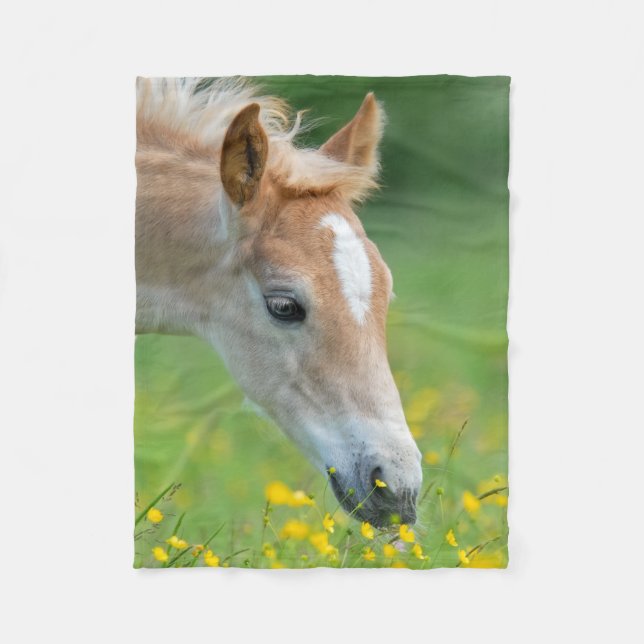 Haflinger Horse Niedlich Foel Blume Portrait - Fleecedecke (Vorderseite)