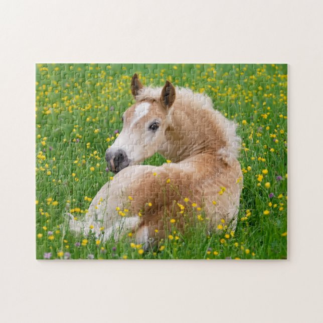 Haflinger Horse Niedlich Fohlen Erholung in Blumen (Horizontal)