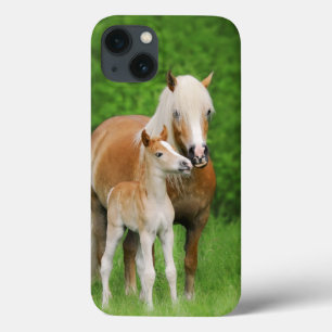 Haflinger Horses Niedlich Foal Kiss Mum -  Case-Mate iPhone Hülle