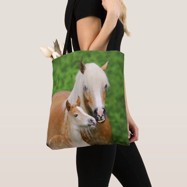 Haflinger Horses Niedlich Foal Kiss Mum Foto — Tasche (Von Nahem)