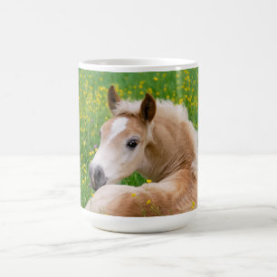 Haflinger Niedlich Fohlen in einem Foto mit Blumen Kaffeetasse