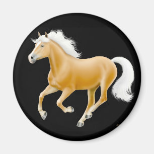 Haflinger Palomino-Pferdemagnet-Schwarzes Magnet