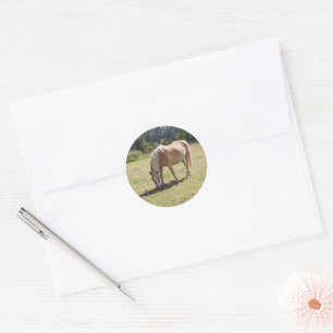Haflinger Palomino Pony im Foto der Sommerweiden Runder Aufkleber