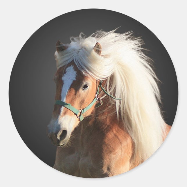 Haflinger Pferd Runder Aufkleber (Vorderseite)