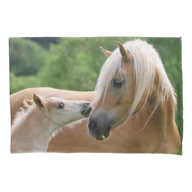 Haflinger Pferde Fohlen und Stuten-Umarmung Kissenbezug (Vorderseite)
