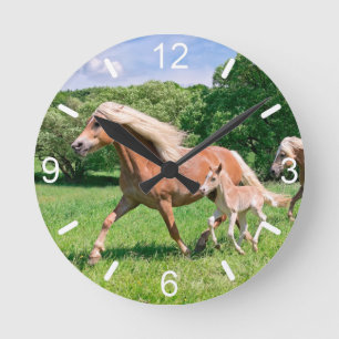 Haflinger Pferde mit Niedlichen Foals Run - Wählpl Runde Wanduhr