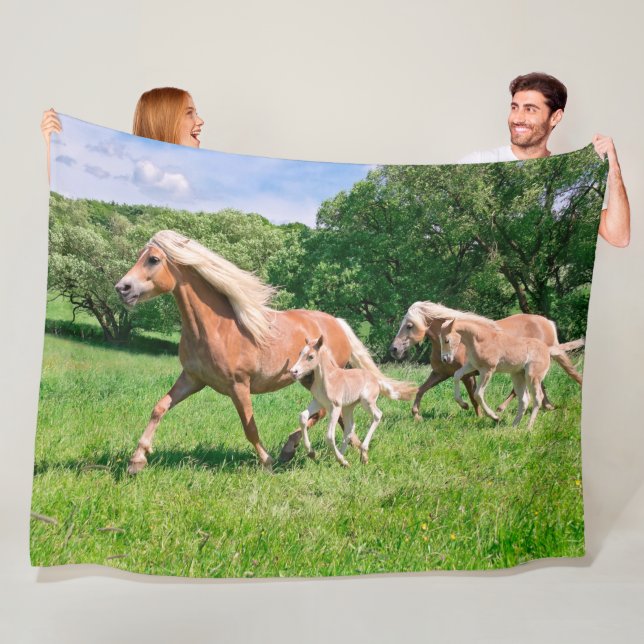 Haflinger Pferde mit niedlichen Fohlen lassen Fleecedecke (Beispiel)