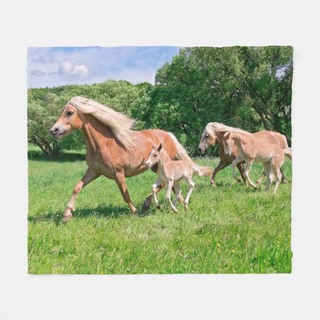 Haflinger Pferde mit Niedlichen Fohlen Run Funny F Fleecedecke (Vorderseite (Horizontal))