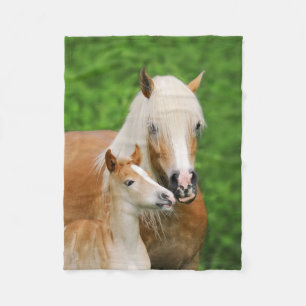 Haflinger Pferde Niedlich Fohlen Kiss Mum Funny Fleecedecke