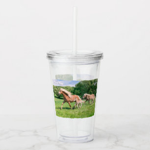 Haflinger Pferde Niedlich Fohlen Lauf Funny Animal Acryltrinkbecher
