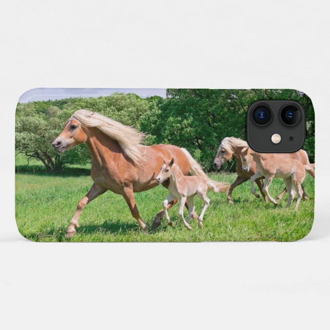 Haflinger Pferde Niedlich Fohlen Lauf Funny Animal Case-Mate iPhone Hülle (Rückseite (Horizontal))