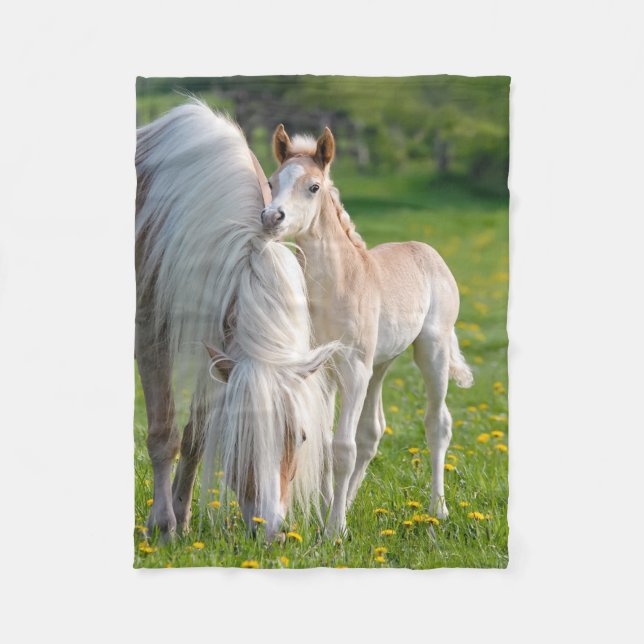 Haflinger Pferde Niedliche Babyfohle mit Mama Foto Fleecedecke (Vorderseite)