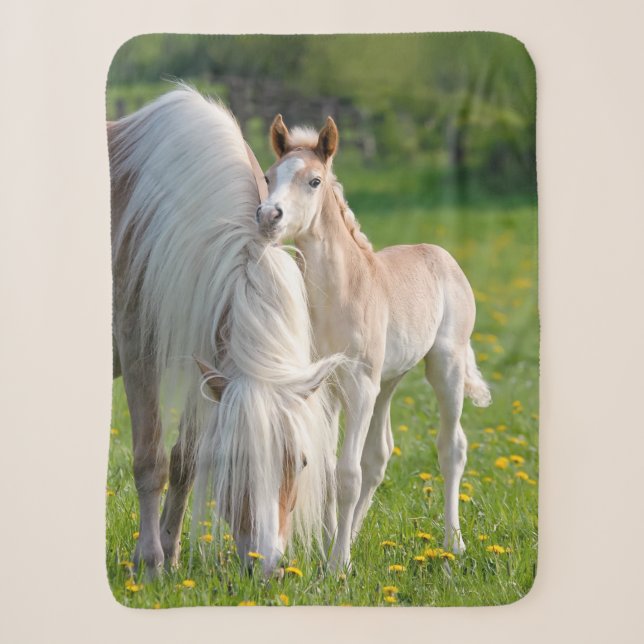 Haflinger Pferde Niedliche Babyfohlen mit Mama-Fot Sherpadecke (Vorderseite)