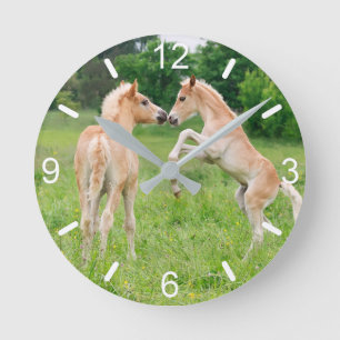 Haflinger Pferde Niedliche Fohlen Aufzucht Faun W Runde Wanduhr