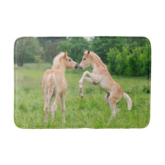Haflinger pferde niedliche Fohlen - Aufzucht und S Badematte (Vorderseite)