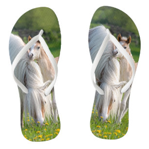 Haflinger Pferde Niedlicher Kinderfohlen mit Mama Flip Flops