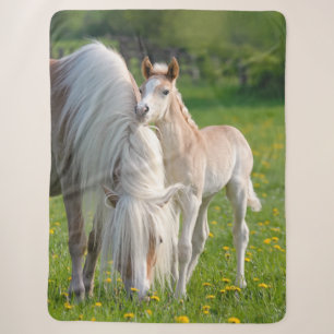 Haflinger Pferde Niedliches Baby Fohlen mit Mama F Sherpadecke