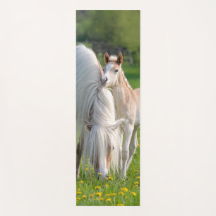 Haflinger Pferde Niedliches Baby Fohlen mit Mama-F Yogamatte