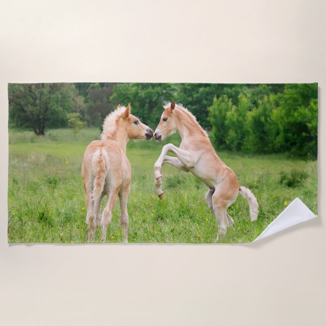Haflinger Pferdeniedliche Fohlen-Freunde, die Foto Strandtuch (Vorderseite)