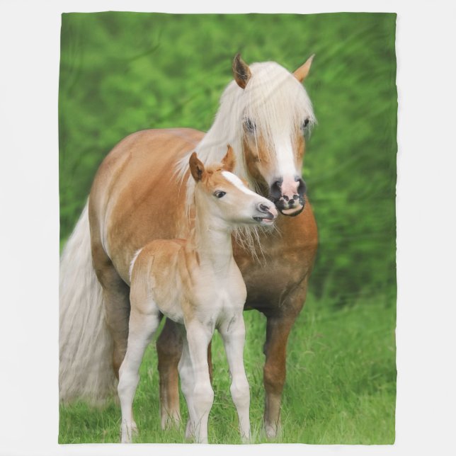 Haflinger Pferdeniedliche Fohlen-Kuss-Mama lustig Fleecedecke (Vorderseite)