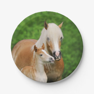 Haflinger Pferdeniedliche Pappteller