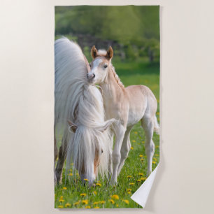 Haflinger Pferdeniedliches Baby-Fohlen mit Strandtuch