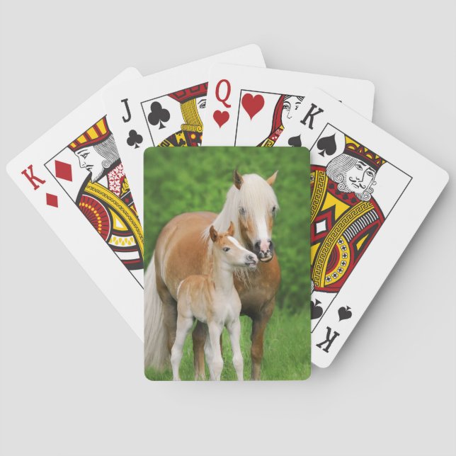 Haflinger Pferdeniedliches Fohlen-Kuss-Mama-Foto. Spielkarten (Rückseite)