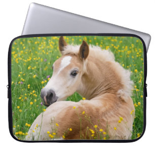 Haflinger Pony-Pferdeniedliches Fohlen im Laptopschutzhülle