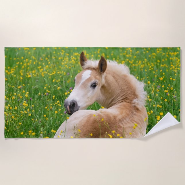Haflinger Pony-Pferdeniedliches Fohlen im Strandtuch (Vorderseite)