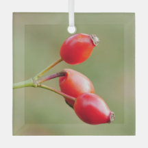 Hagebutten-Schmuck
