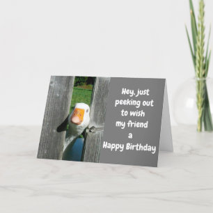 HAHA DUCKIE SAGT "FAPPY BIRTHDAY" FRIEND KARTE