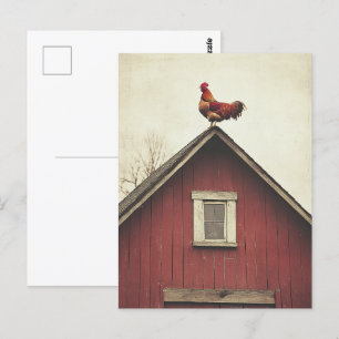 Hahn auf dem Dach Postkarte
