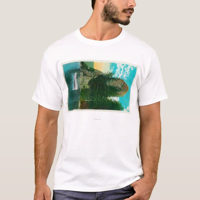 Hahn-Felsen auf Columbia River T-Shirt (Vorderseite)