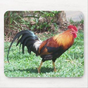 Hahn Mousepad