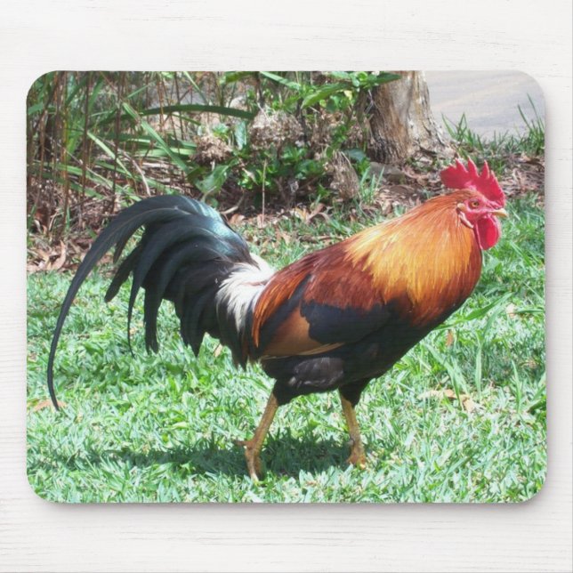 Hahn Mousepad (Vorne)