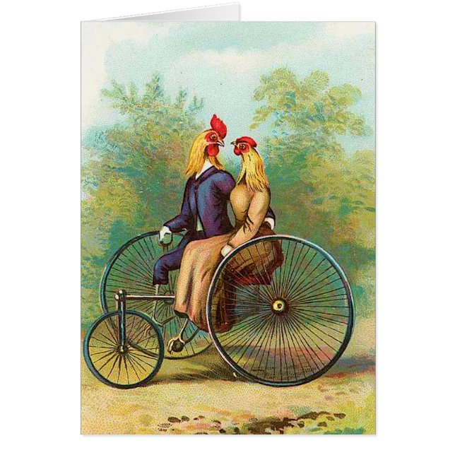 Hahn-romantisches Fahrrad-Datum (Vorne)