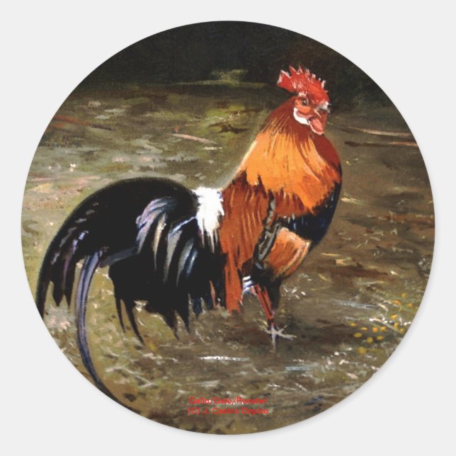 Hahn/Rooster/Gallisch Runder Aufkleber (Vorderseite)
