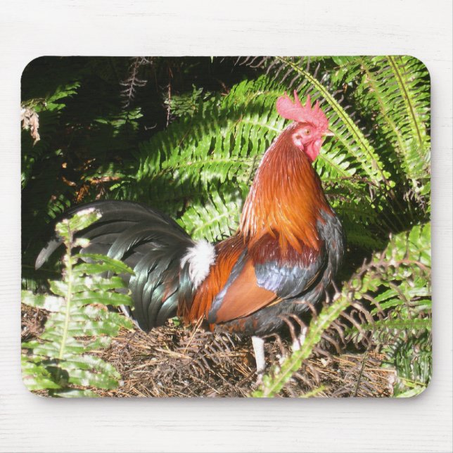 Hahn - roter Dschungel-Geflügel Mousepad (Vorne)