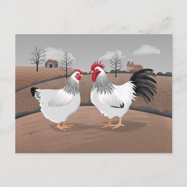 Hahn und Henne Postkarte (Vorderseite)