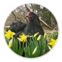 Hähnchen-Hähnchen, schwarz, in Hülsenfrüchten Yet