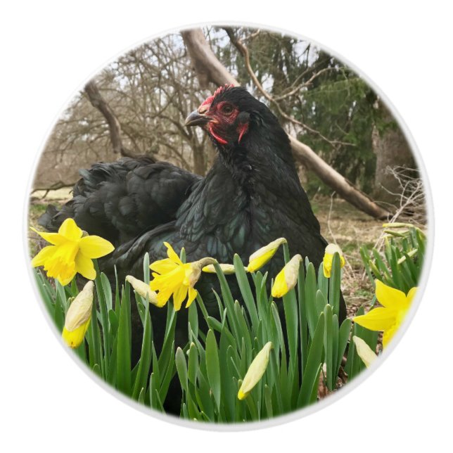 Hähnchen-Hähnchen, schwarz, in Hülsenfrüchten  Yet Keramikknauf (Vorderseite)