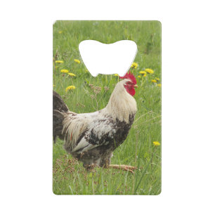 Hähnchen, Hähnchen, Tiere, Vögel, landwirtschaftli Geldbeutel Flaschenöffner