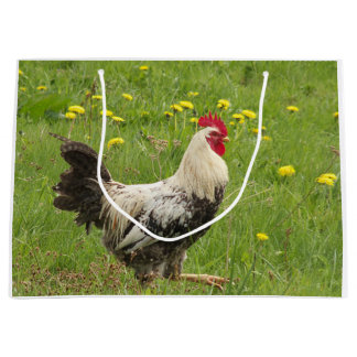 Hähnchen, Hähnchen, Tiere, Vögel, landwirtschaftli Große Geschenktüte
