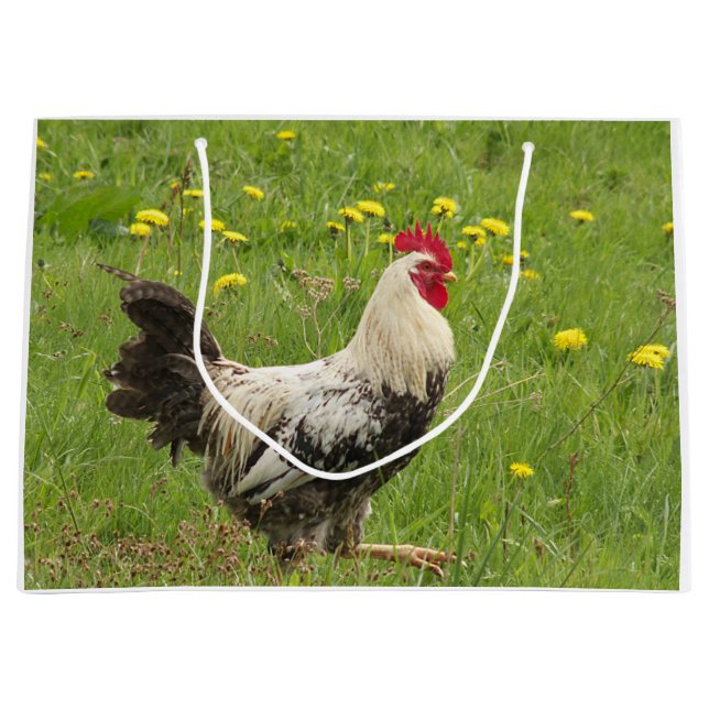 Hähnchen, Hähnchen, Tiere, Vögel, landwirtschaftli Große Geschenktüte (Vorderseite)