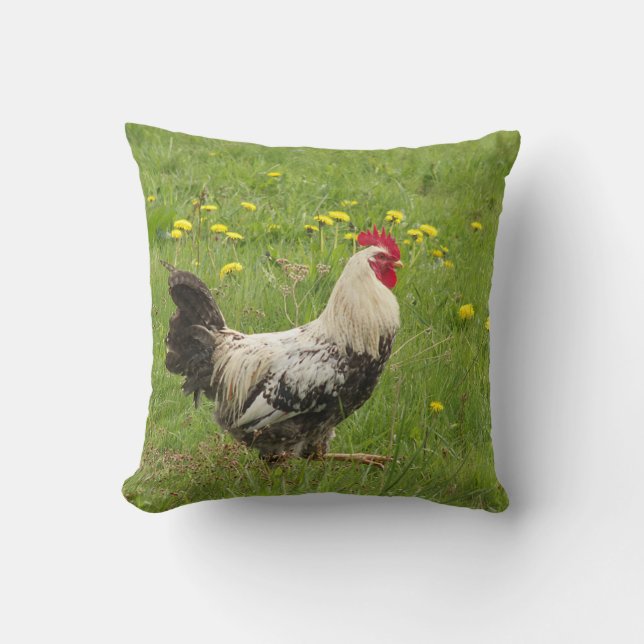 Hähnchen, Hähnchen, Tiere, Vögel, landwirtschaftli Kissen (Vorderseite)