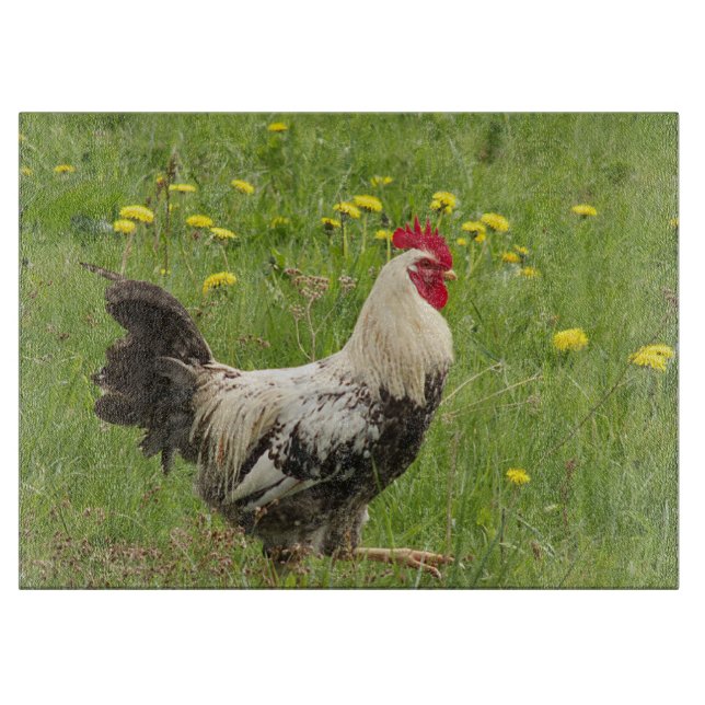 Hähnchen, Hähnchen, Tiere, Vögel, landwirtschaftli Schneidebrett (Vorderseite)